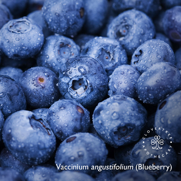 Blueberry Micro-Refining Skin Polish